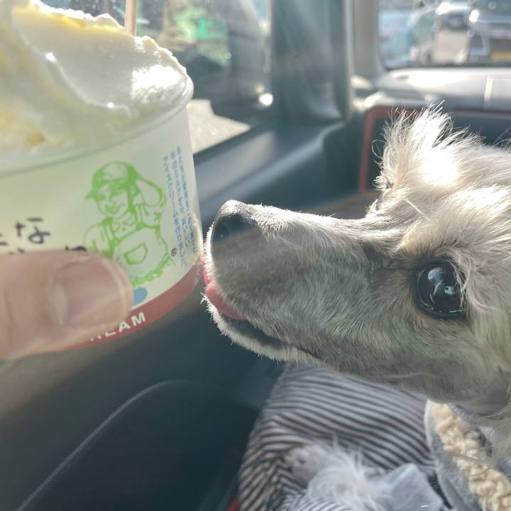 A3693bff 5f1b 441f b5a4 fe49f743527a 1771839655655