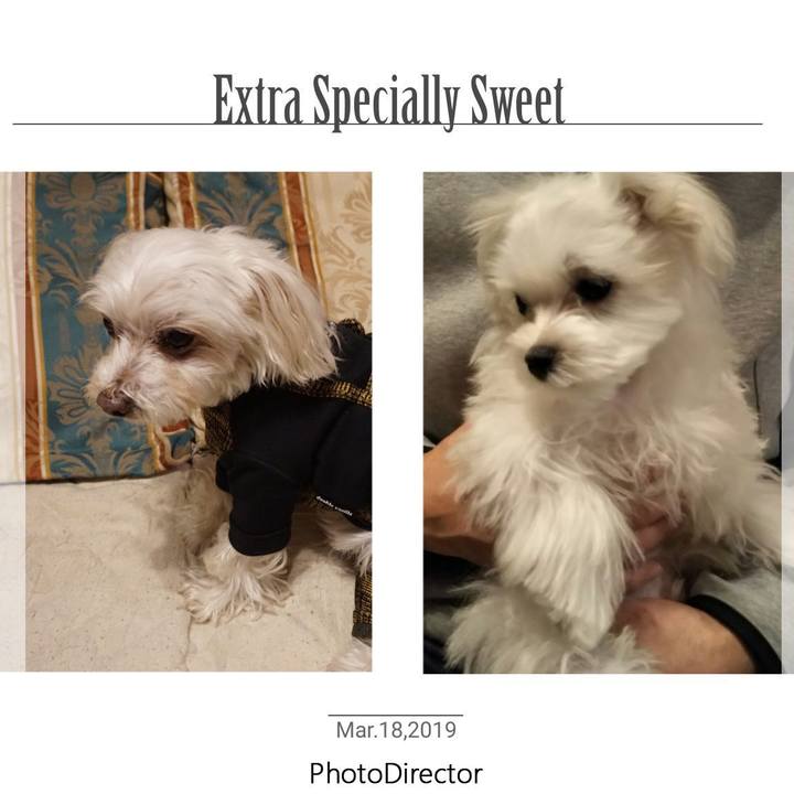 A369838f 9a85 4645 927c 305c1a1b8c48 1552861302259