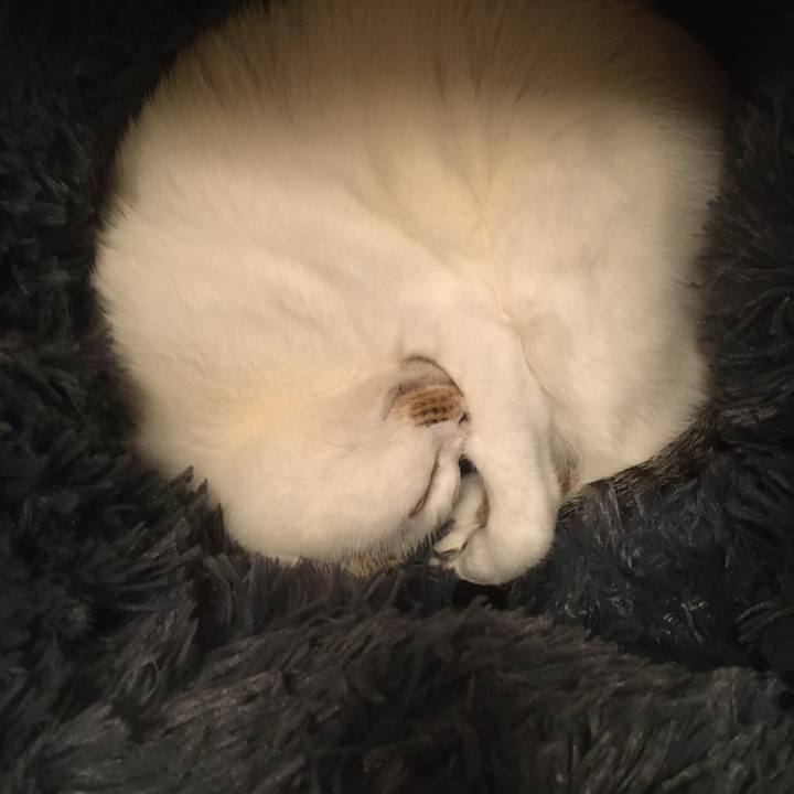 A3698dc2 8dd5 45f1 a022 b7738374f8d4 1573632750257