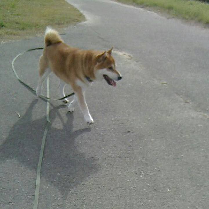 A369c5ed e45b 485f 80a8 035f1553960c 1542534131544