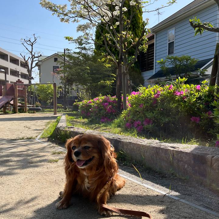 A369e5c8 d64a 4e17 81e0 485221b7a2a6 1682122180458