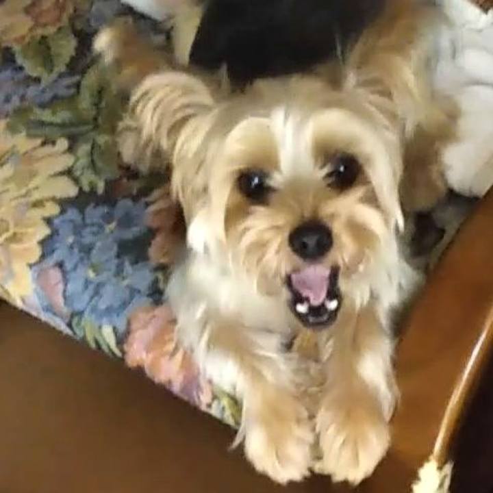 A36a16ce 7c47 47f8 ab9d 723a5e65286f 1627553941263