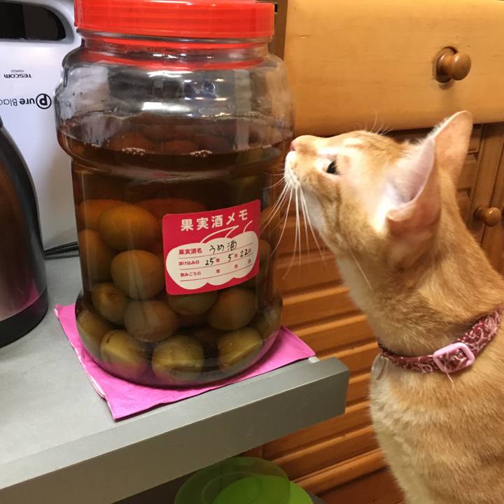 A36a16e1 adf3 4021 ab8f 4fa215d73114 1508165855036