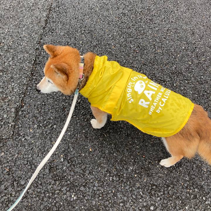 A36a1bb3 4eea 46a0 9bdf 0acc0a51f382 1749900038387