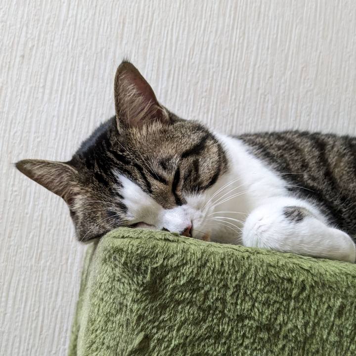 A36a83de f20d 4fe9 bd94 b2d00012f4c5 1692751792321