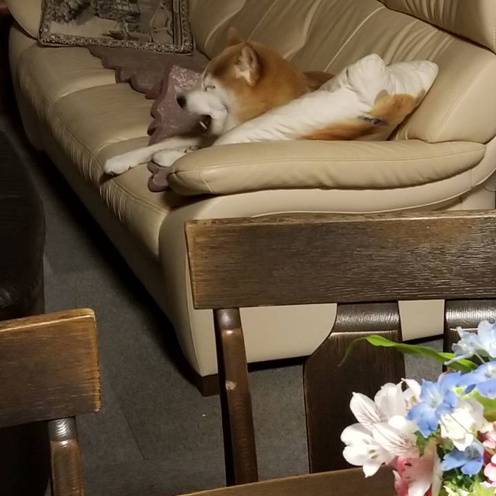 A36a867c 7d56 4157 94e3 d825d46a6552 1637011611069