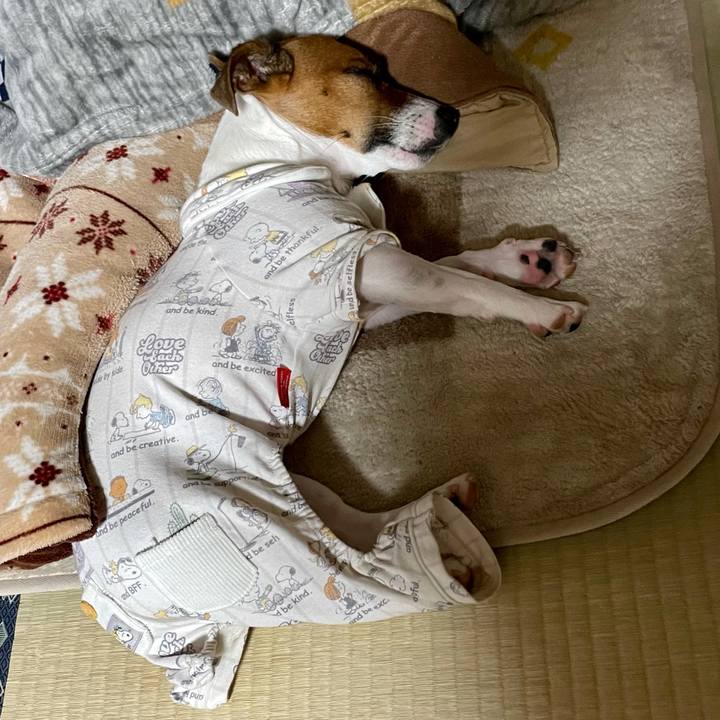 A36a98b3 9ff2 4066 843e 1a90242041ac 1634990084797