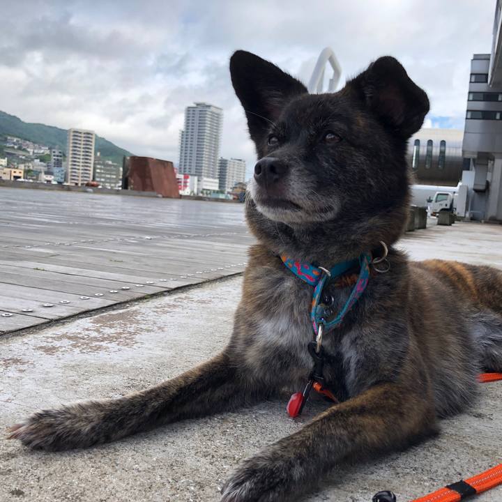 A36aa987 c5c6 42b9 9446 28cf08f4a074 1564406672084