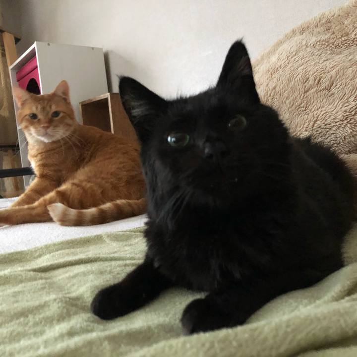 A36aeefb cba9 43a8 9d07 65196a3f755f 1614548911961