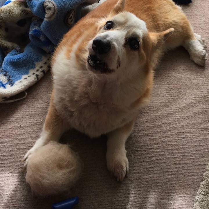 A36b42a4 0f36 4978 b53f 7c35323c12fd 1549166370718