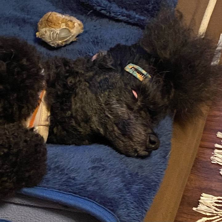 A36bae14 501a 4727 a381 1d25df784995 1654955134924