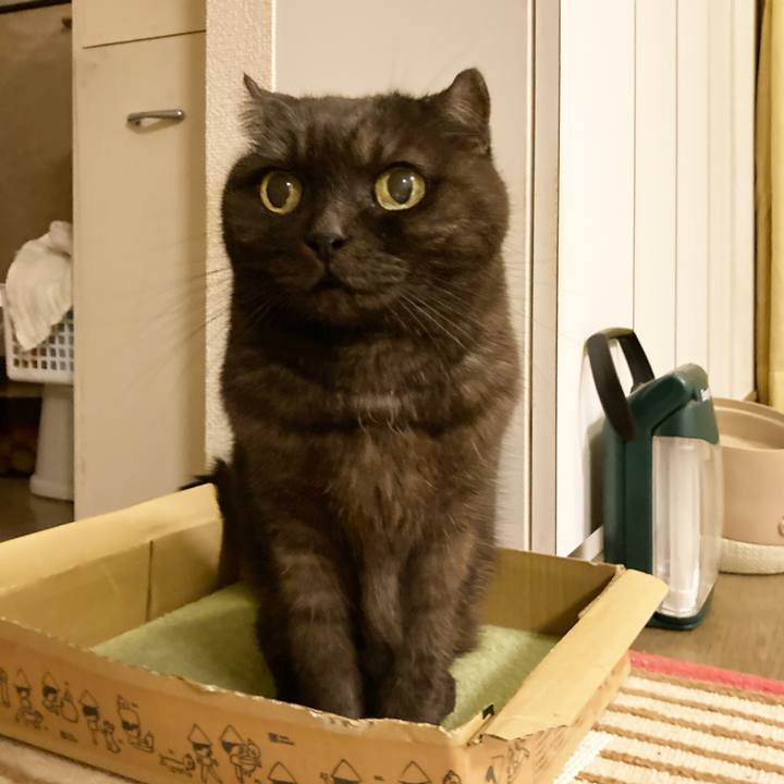 A36c7bfe 1146 4ce3 9387 cf27cce1e844 1634137402427