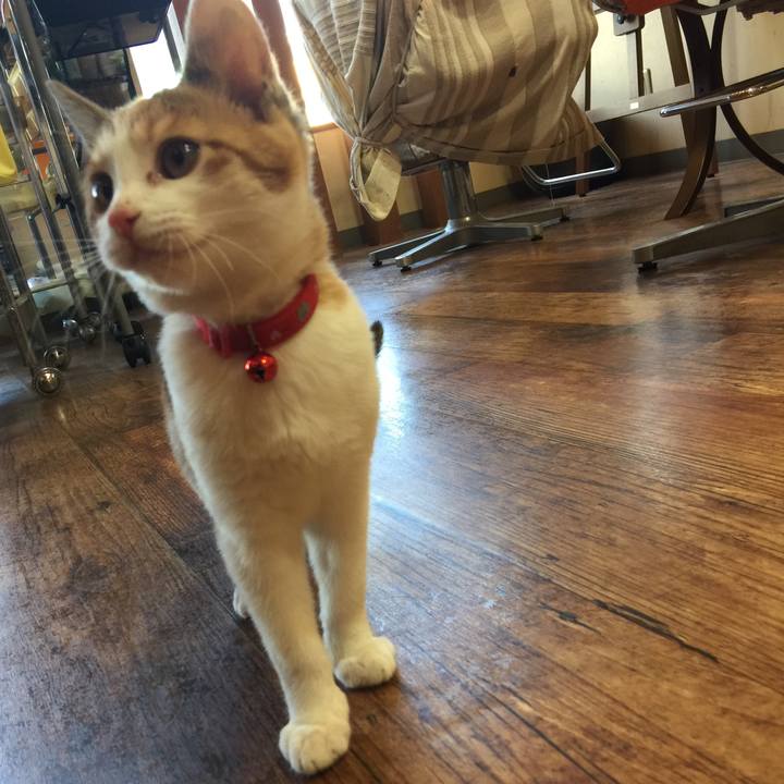 A36c833e 73b9 4b95 8b8c 8adf387e519f 1579659543794