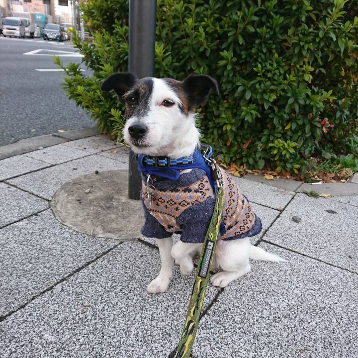 A36c8d56 6a72 4b9a 97a1 90bfd1e24211 1512684179013