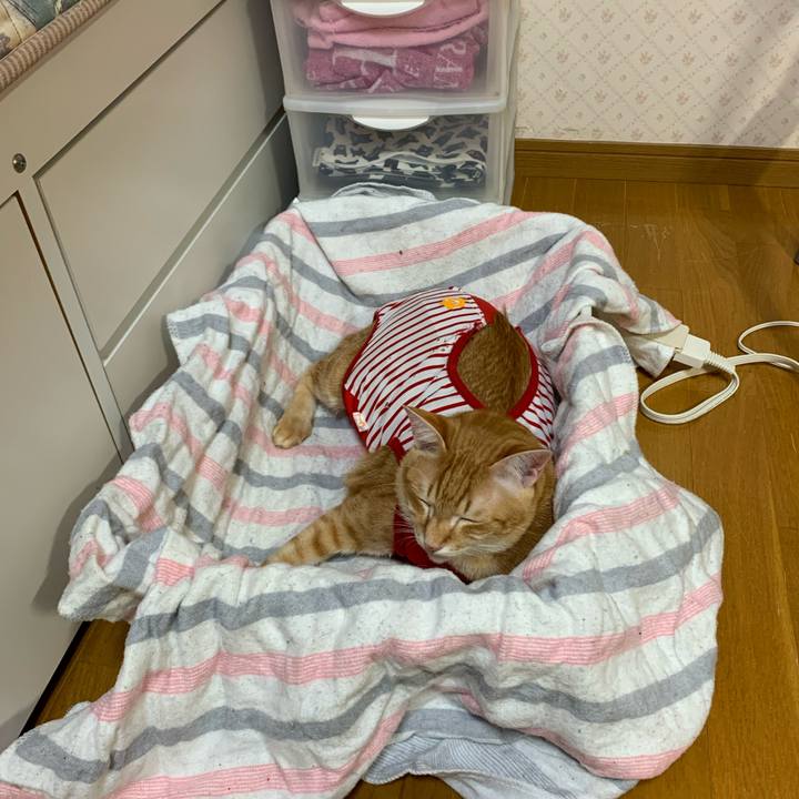 A36cd9a4 7be8 40cf a551 95a509ea25c9 1576159834548