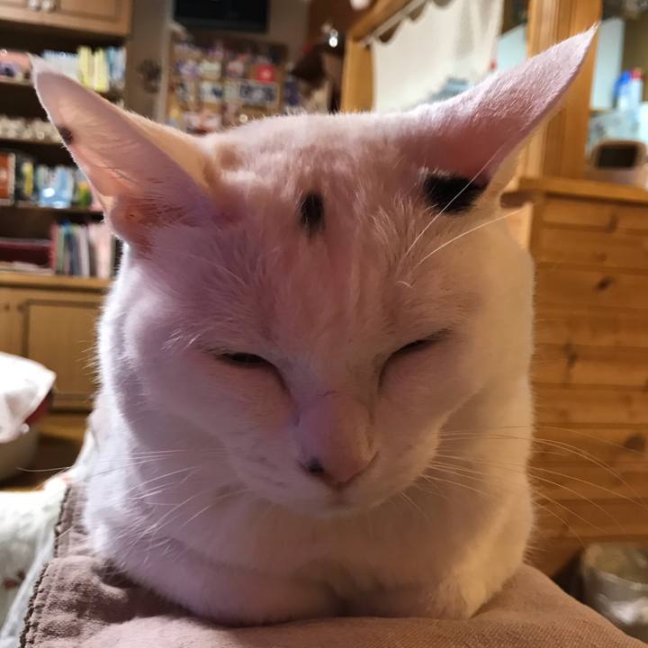 A36d7a79 a8f4 4394 bc14 f268337b6738 1615717659218