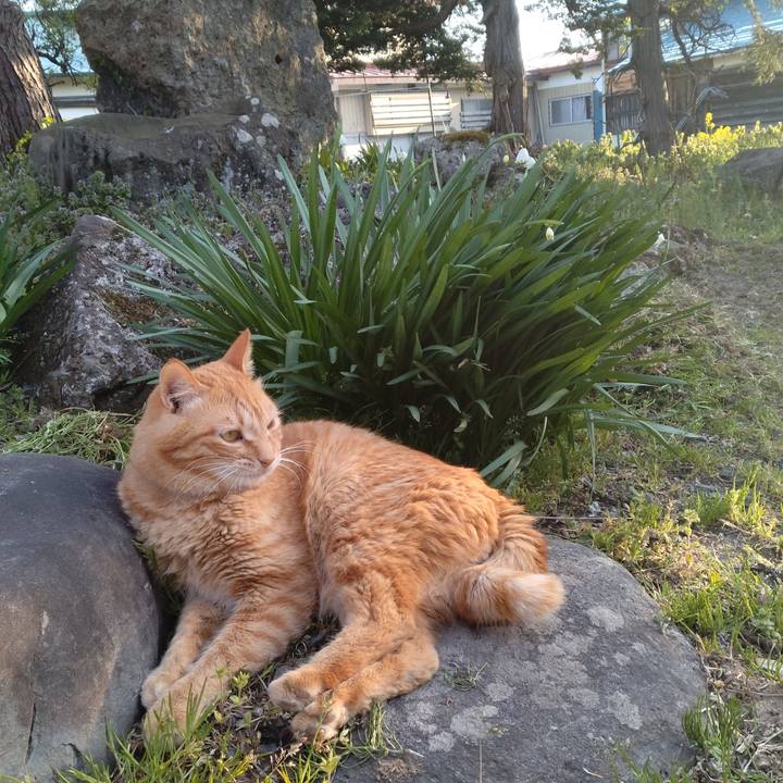 A36dbb54 b513 4d92 b9d1 196c48c571c5 1713777131334