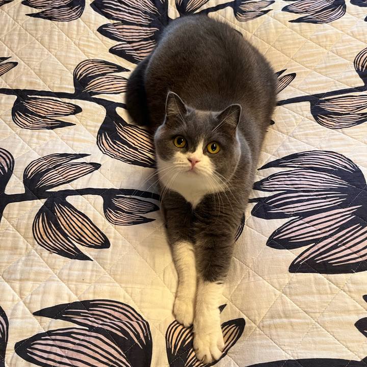 A36dd956 1b13 4954 8a67 3b1ff4f7128c 1634603927108