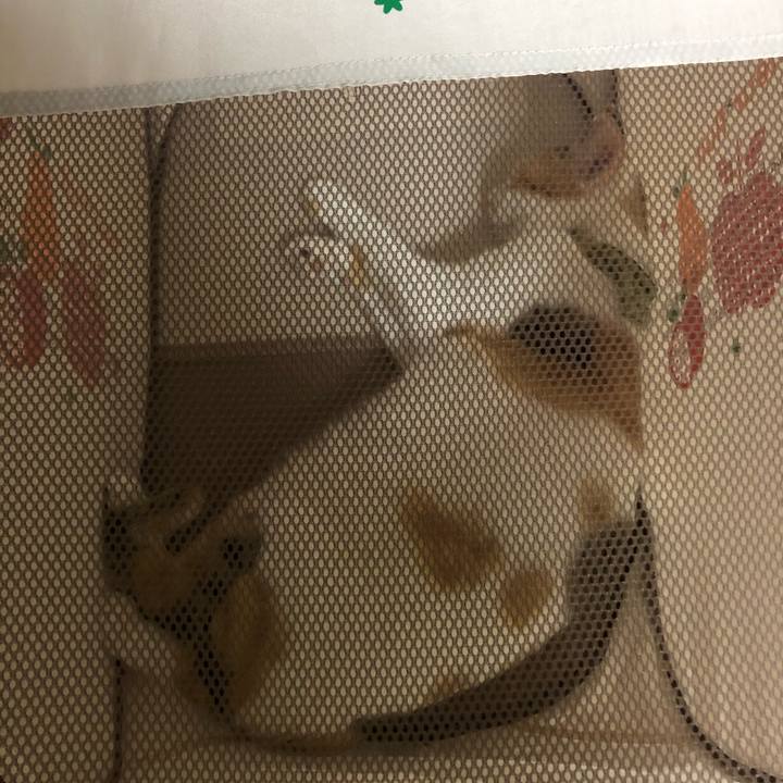 A36ddfdd 9fc7 4faf 9925 fc8738331ecd 1597148116632