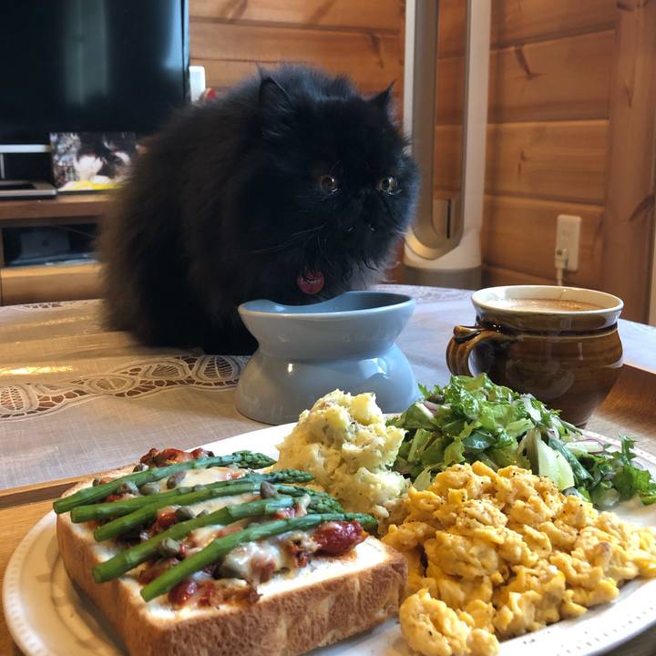 A36dfb4b 38ab 456f a9be cfbe5058a3ae 1554600428612