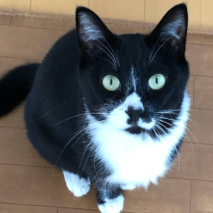 A36e04a8 3ef2 4e39 abad ac3ed498fd62 1569036221730