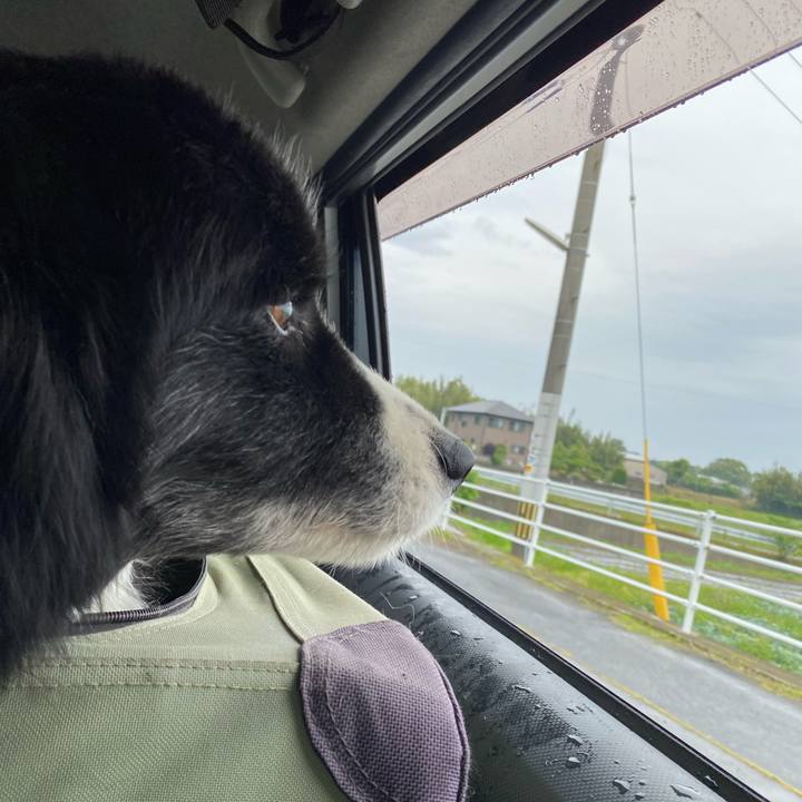 A36e2a61 3c1f 4705 aaca 4d5dc379966e 1683928947723