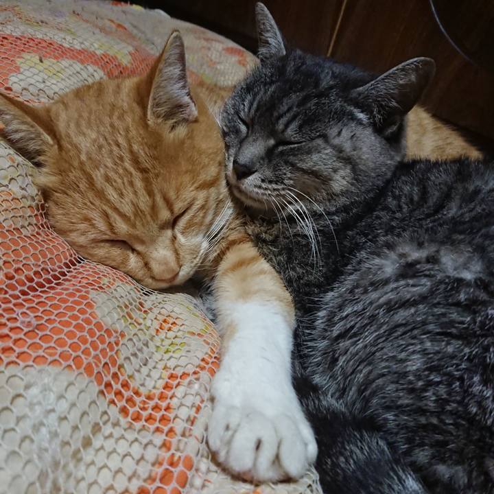 A36e36e2 d336 4f7f 8d01 7681a13d62b1 1577187452178