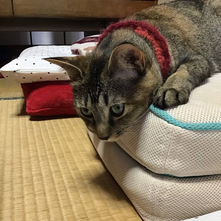 A36e415c d1a9 4047 a844 40756c720b4b 1599292789145