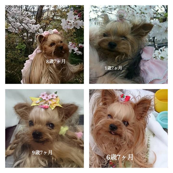 A36e483b f0bf 475c 8dca 33fcf8b1745e 1553838293871