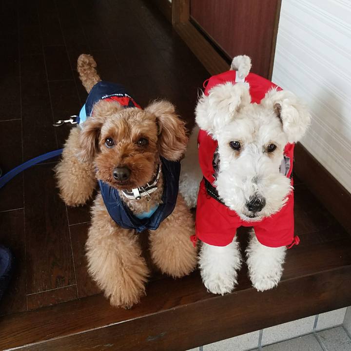 A36e4889 d0ba 46d7 b0bc 7af92e88cfdc 1519178426893