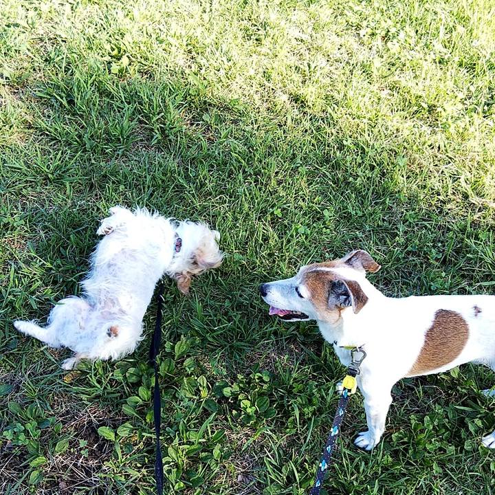 A36e8c5c 17b1 45a1 86e7 af9d61b32c05 1568421880608