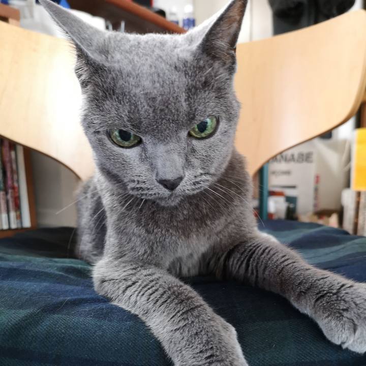 A36e9285 e30a 4474 a53c b16e892eb6ec 1601677271257