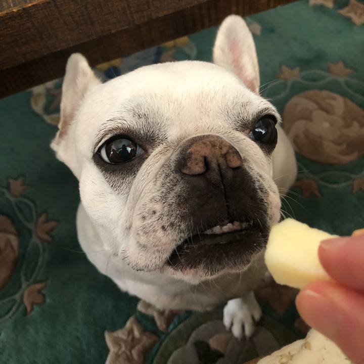 A36eaed0 58f4 41f3 a3cc 09894f4c5a1a 1685254318810