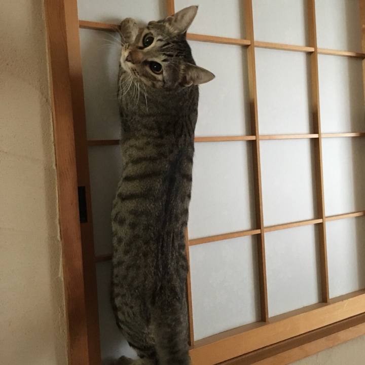 A36eb39f 2396 4f8e a529 904e14290587 1517658885099