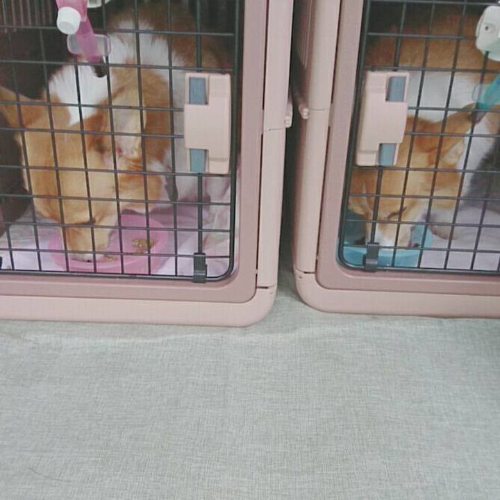 A36ec3aa 0759 4fe5 837e 35f612691886 1507878911455