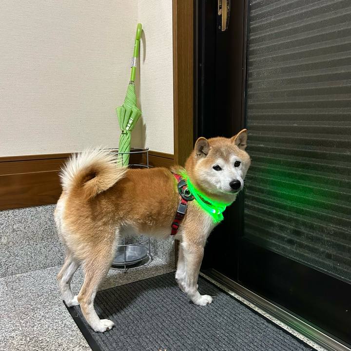 A36efdb1 eedf 44b4 a19f 05aabdda99fa 1734952083640