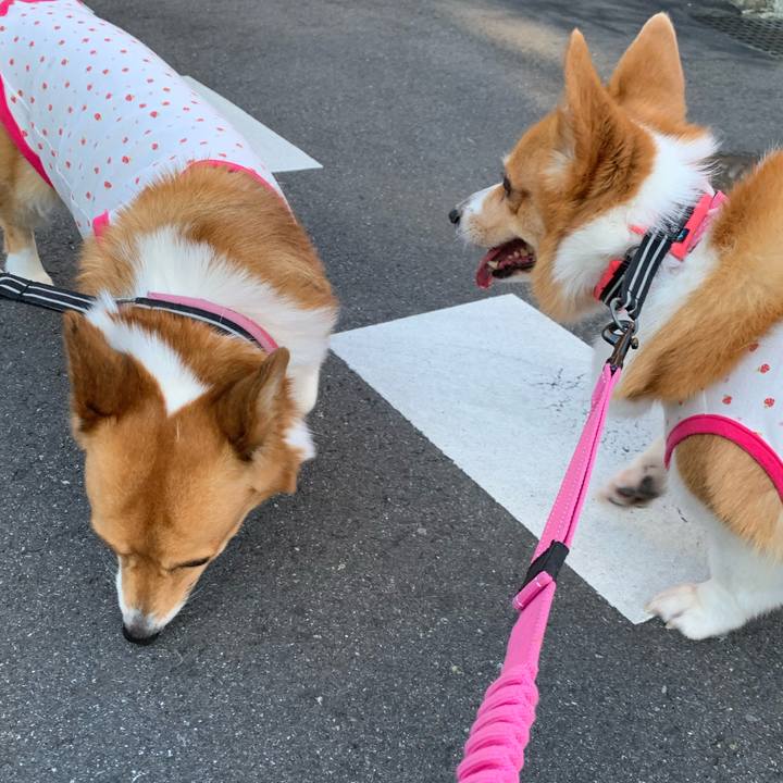 A36f1aad f0ae 4249 b1fc 2053219670ad 1592345702182