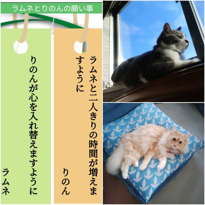 A36f2649 5983 40e6 82c6 130f21a5751c 1720309233463