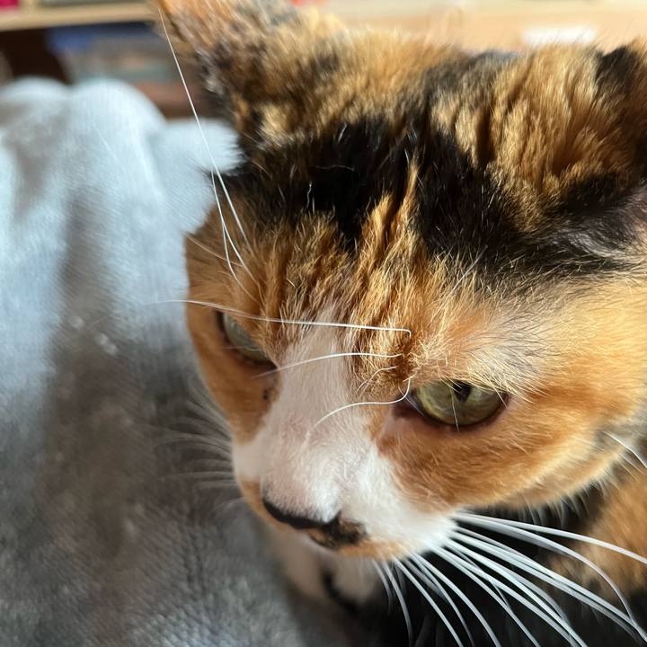 A36f2d93 46b1 4486 a480 8e702a09bb1e 1696594618491