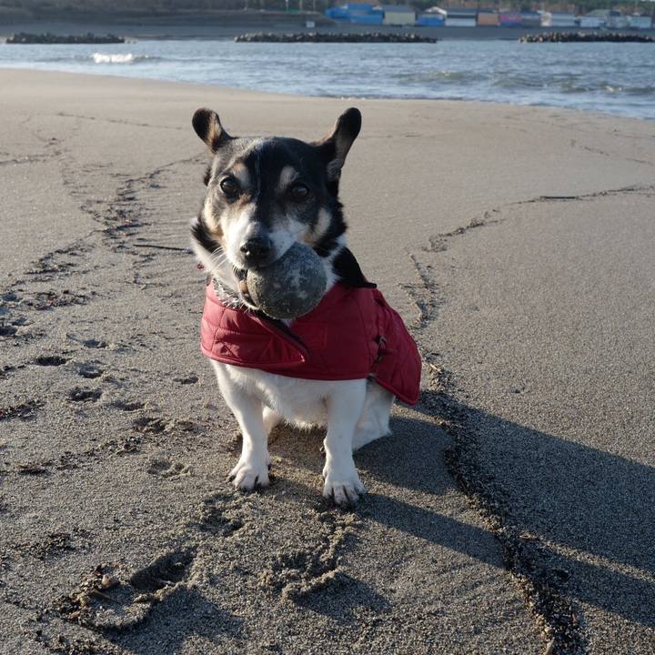 A36f570d 885c 41fc 966c a373dfa01283 1576469649848