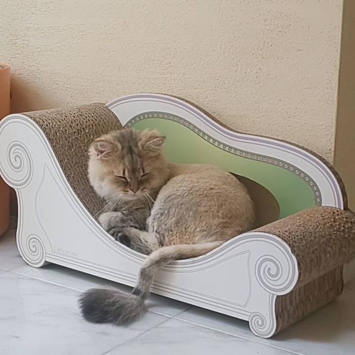 A36f69ea 903e 4b12 b7dd 6fa62dcf45e1 1596010834868