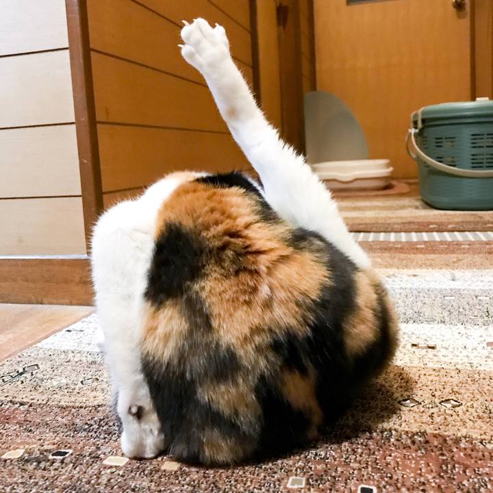 A36fb366 78da 4171 9ff7 2424fc5f8e4c 1524840952806