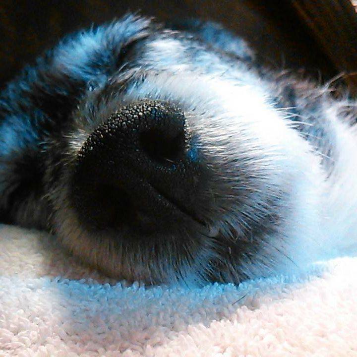 A36fbd73 3808 4761 bee9 cb36061884b1 1523446211899