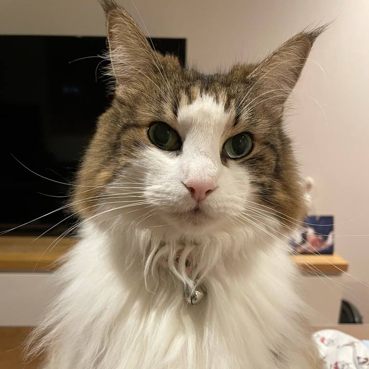 A36fd231 751a 4975 bcf1 81a7b4eb4686 1666097597822