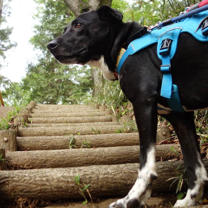 A36fe848 5827 4551 8650 6b7455e3fd1e 1617669944326