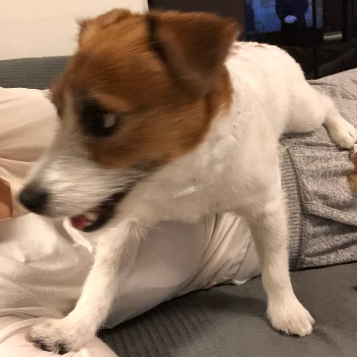 A36ff86b 2474 4ca7 8b07 31871616d0f7 1589974832733