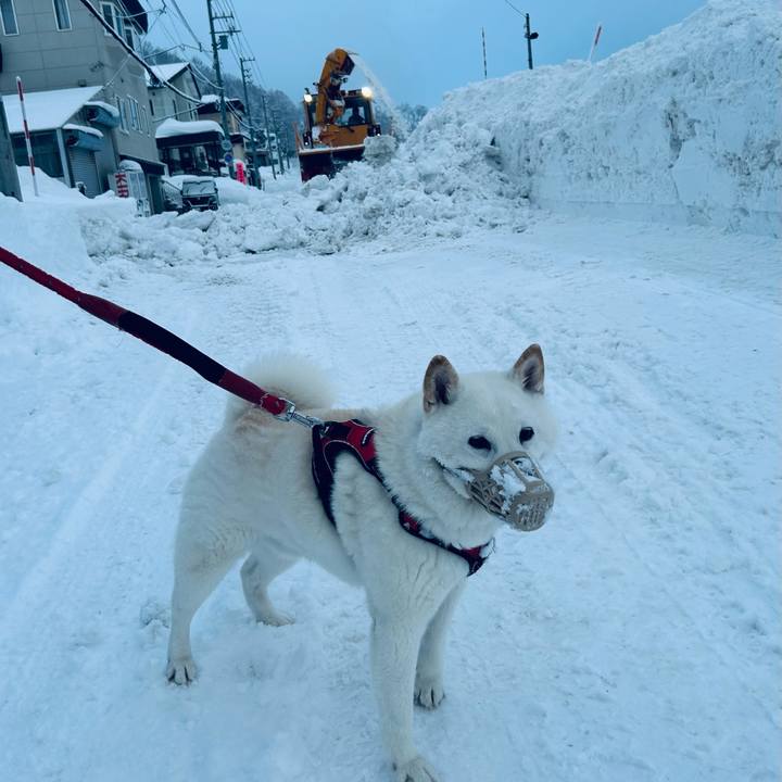 A3701f02 8464 4552 b780 3deb4c993b69 1706396749434