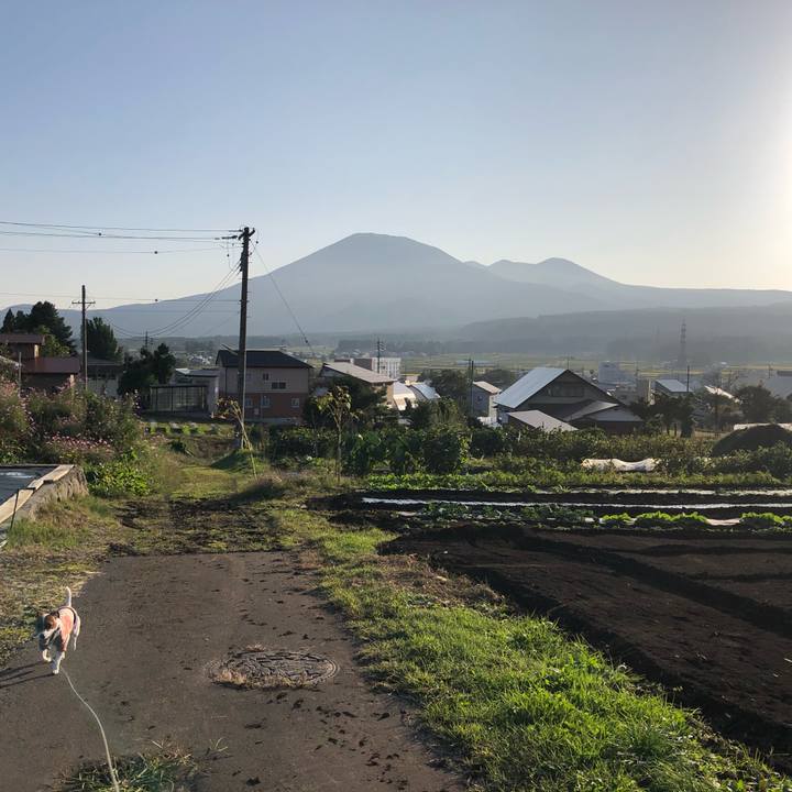 A37033fe 19f9 4d3f bfe6 dad8a704513f 1601631573811