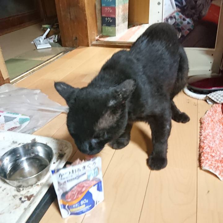 A37051b3 9192 4f23 85df 347234888b3c 1627732571207