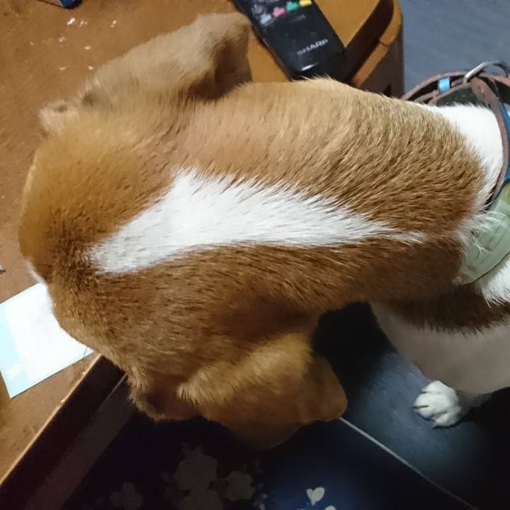 A3708eee 9d3e 4944 9983 02f40138a21c 1568633923047